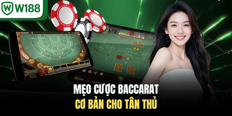 Mẹo cược Baccarat cơ bản cho tân thủ