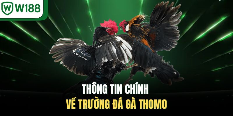 Thông tin chính về trường đá gà Thomo